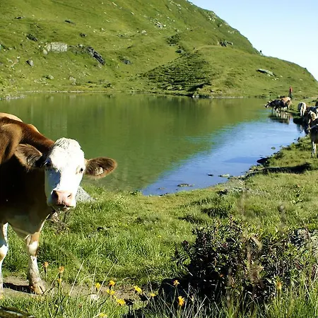 فندق Wechselberger By Alpeffect 3*