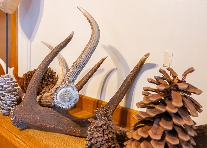 호텔 Wechselberger By Alpeffect 잘바흐 힌터글렘