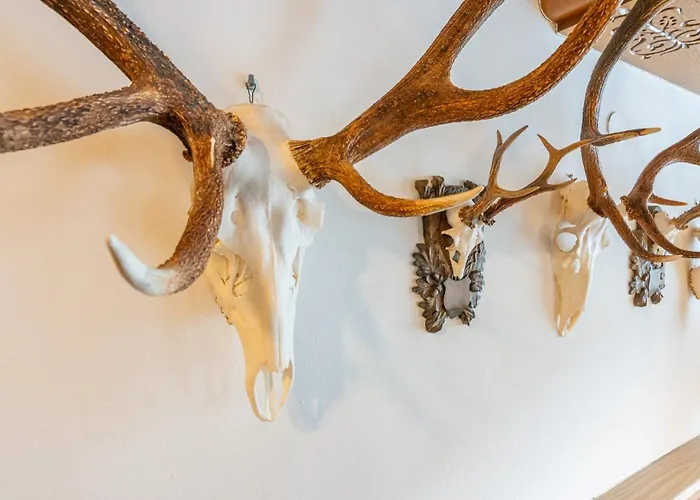 Wechselberger By Alpeffect 3*